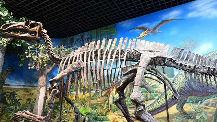 仿真恐龙化石骨架