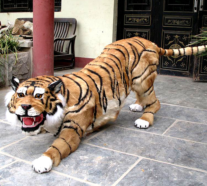 仿真动物、老虎模型