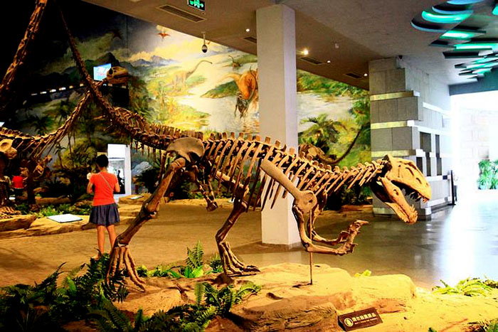 恐龙化石骨架、恐龙骨骼图
