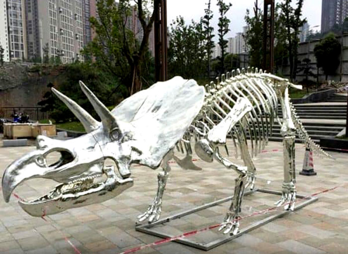 恐龙骨架、玻钢模型定制