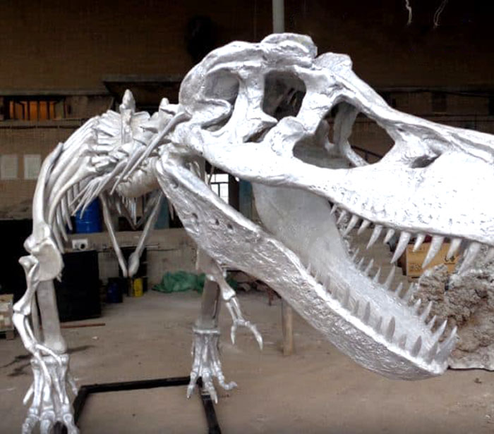仿真恐龙骨架、玻璃钢恐龙骨架