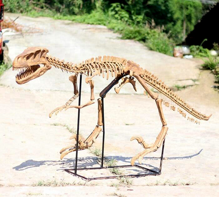 玻钢恐龙骨架、定制仿真恐龙模型