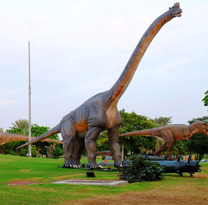 哪些大型仿真恐龙模型可用于户外展览