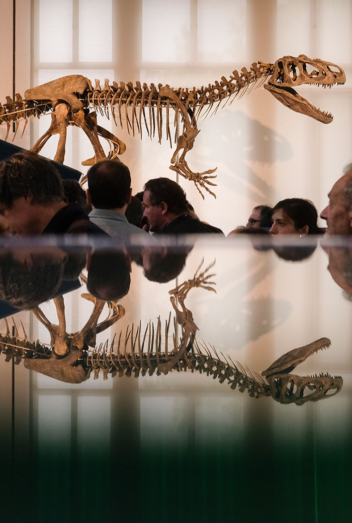 恐龙骨架化石具有什么文化价值